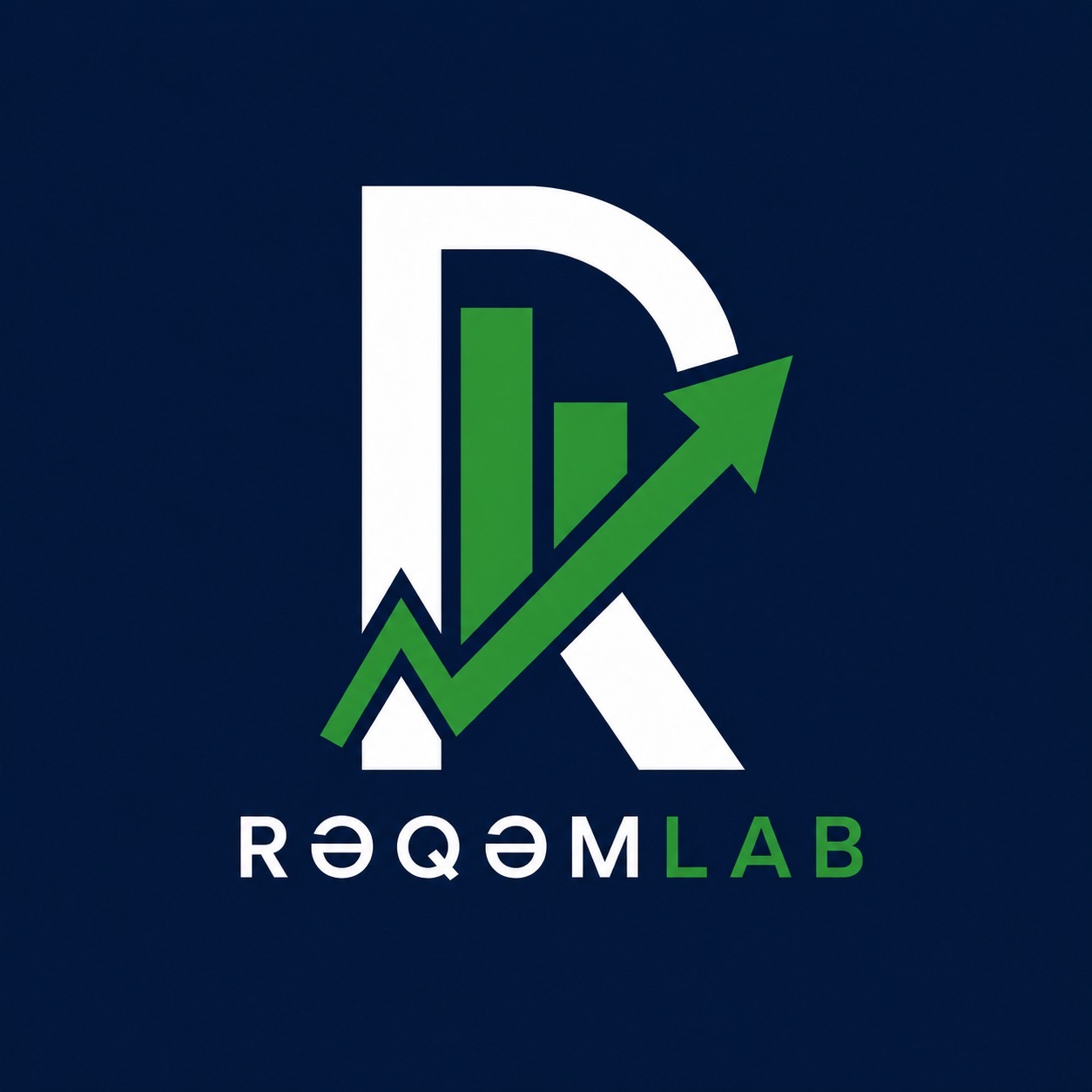 RəqəmLab Logo
